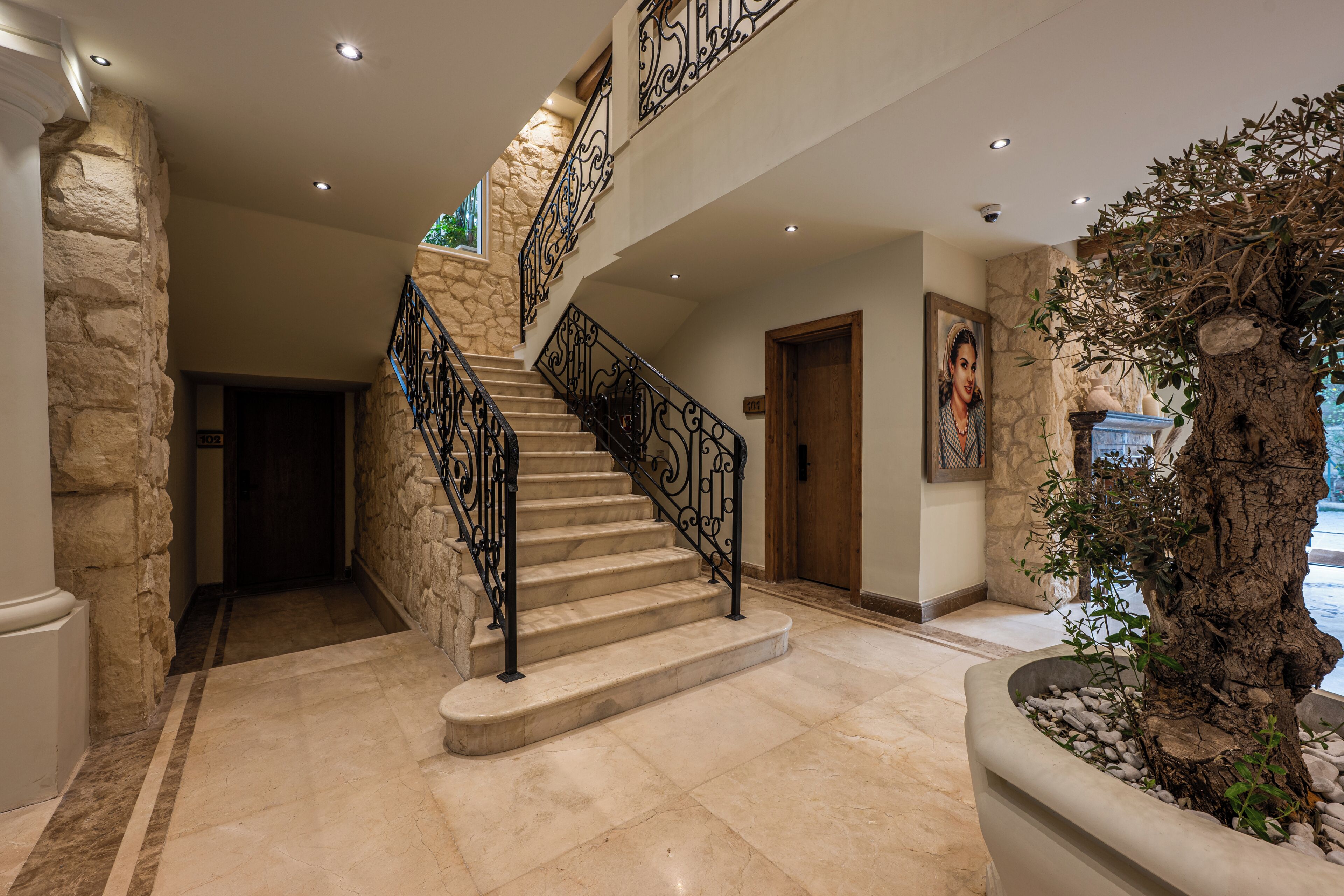 Una amplia escalera con pared de piedra, un árbol en maceta y una puerta que da a otra habitación.