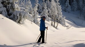 Snø- og skisport