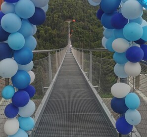 A suspension bridge with a netted walkway, surrounded by blue and white balloons. - Wiesentalblick Apartment with Mountain View and Balcony (Todtnau)