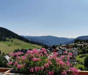 Un barrio residencial con casas, un valle verde y montañas al fondo.