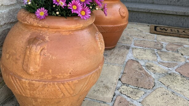 Des jardinières en terre cuite ornées de fleurs, posées sur un mur de pierre.