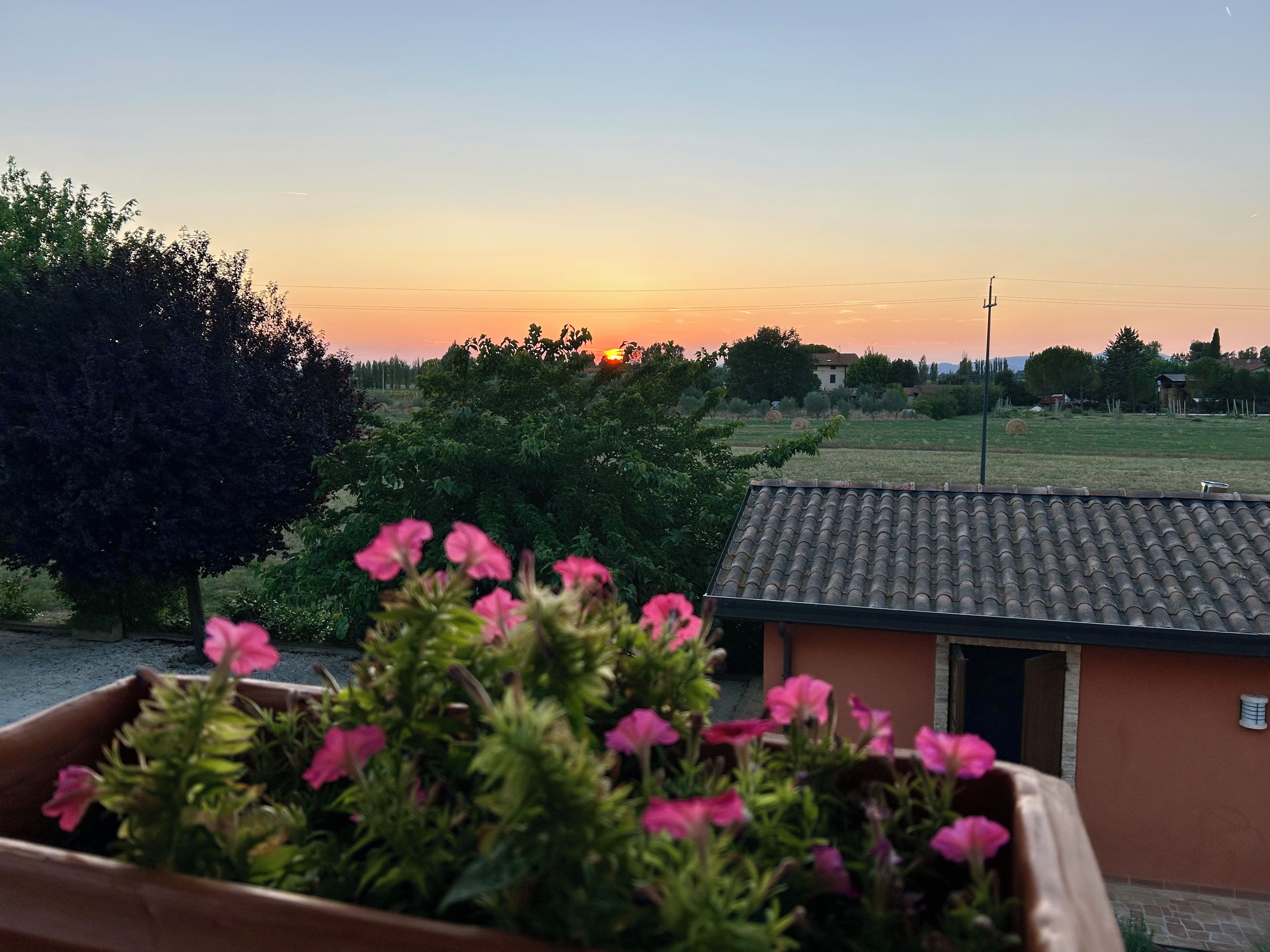 Une vue sur le coucher de soleil depuis un balcon, avec un pot de fleurs au premier plan.