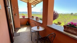 Une terrasse couverte avec une table et des chaises, une vue sur la campagne et des plantes en pot.