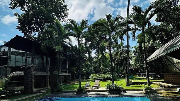 Una piscina con agua azul cristalina, rodeada de palmeras y un césped con sillas de descanso.
