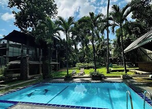 Ein Swimmingpool mit klarem, blauem Wasser, umgeben von Palmen und einer Rasenfläche mit Liegestühlen.