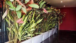 A row of white rectangular planters with various green and red plants on a polished dark floor. - C Suites Gilbert (Bengaluru)
