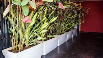 Perincian bahagian luar