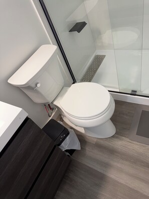 Bathroom - Cozy Modern home (Winnipeg)