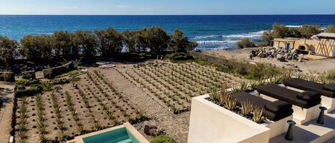 Luxury Villa, Sea View | Property grounds