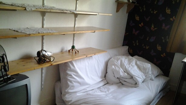 A room with a bed, a television on a stand, a shelf with a fan, and a wall with a butterfly pattern. - SINGLE ROOM (Nanterre)