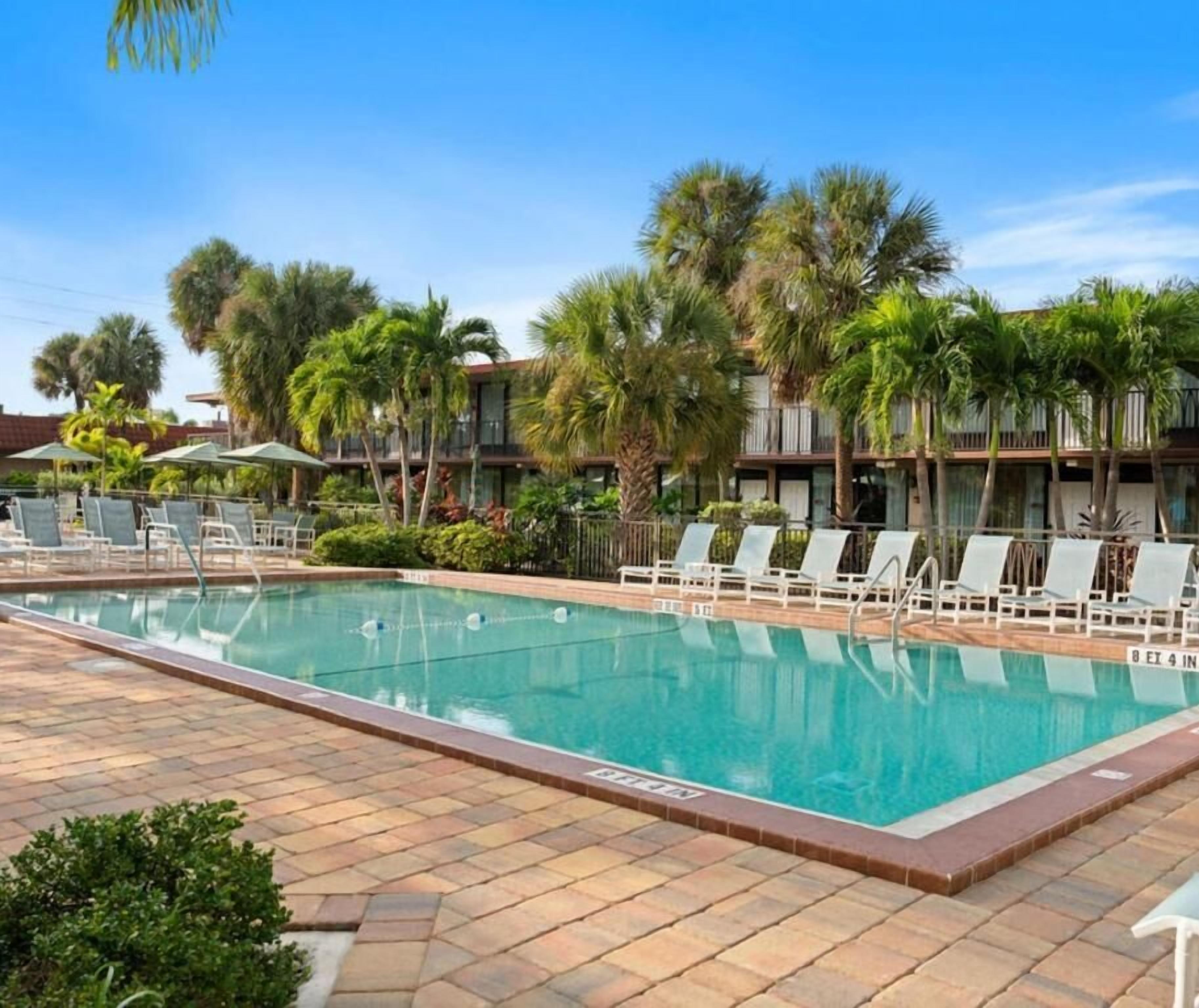 A pool area with lounge chairs and palm trees.