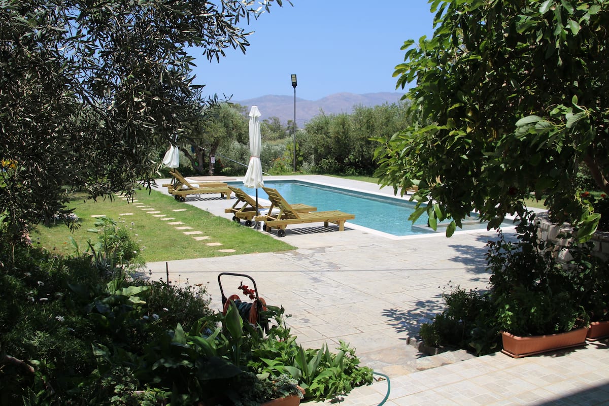 A swimming pool with lounge chairs and umbrellas, surrounded by greenery and a clear sky.