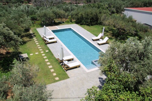 olive view