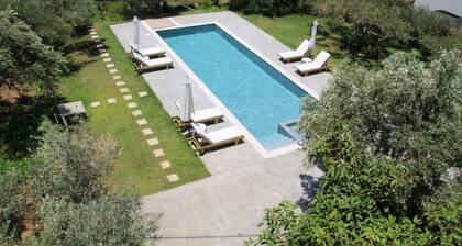 olive view