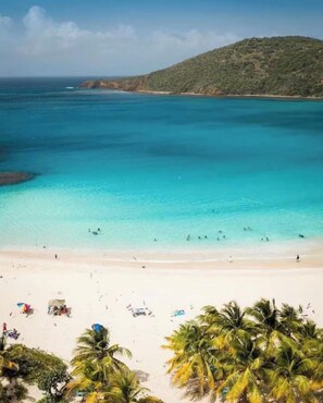 Een strand met helder turquoise water, palmbomen en een glooiend landschap op de achtergrond.