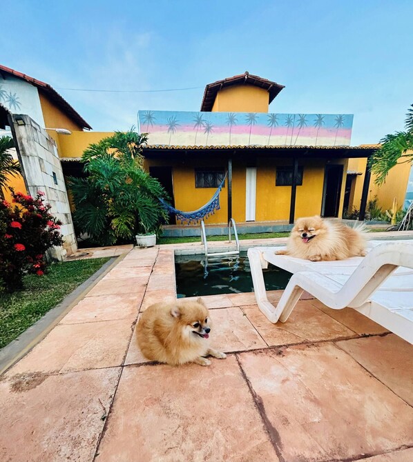 Room, 1 Bedroom, Accessible, Smoking | Pool