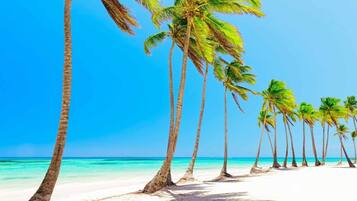 Una playa con palmeras y agua azul cristalina.