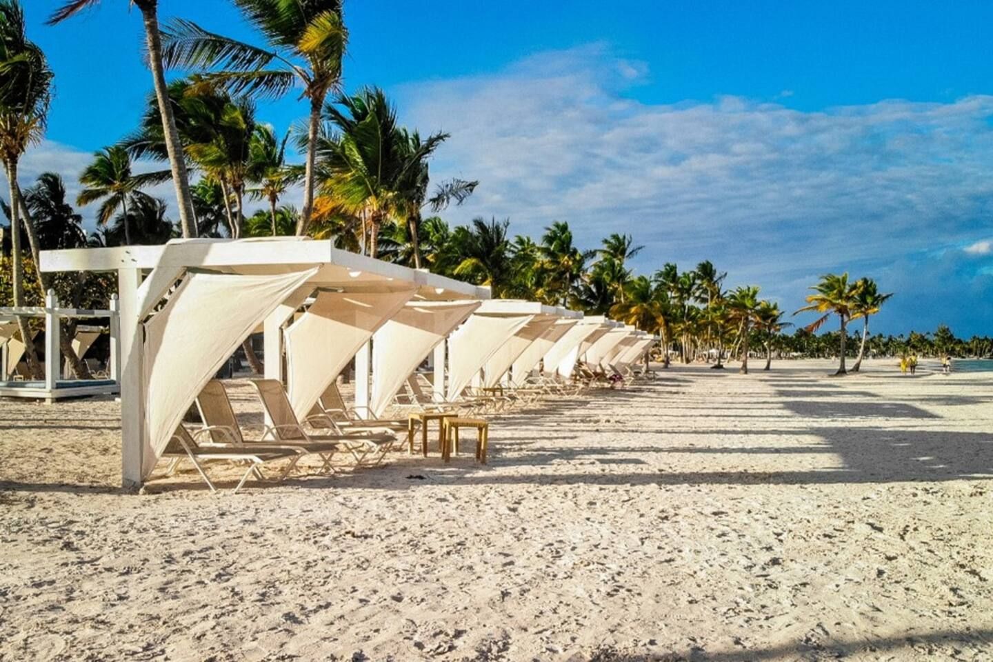 A beach with rows of sun loungers under white canopies, palm trees, and a clear sky.