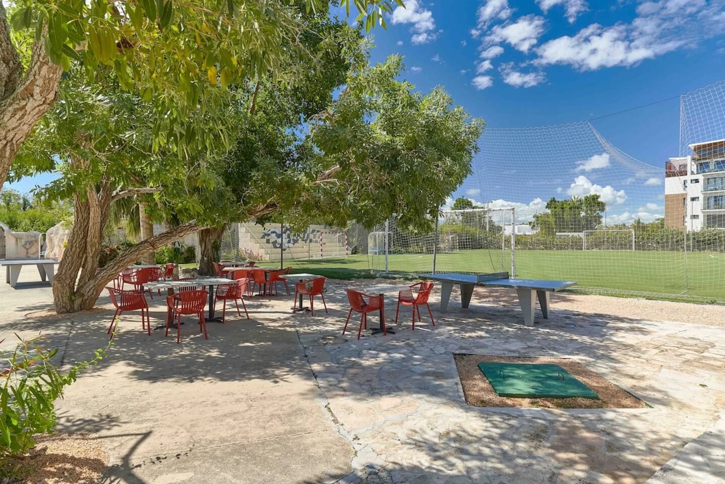 An outdoor seating area with tables and chairs, a large tree, and a sports field in the background.