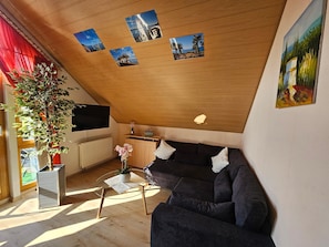 Fernseher