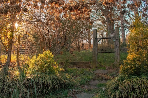 Outside gate to dog fencing from porch. Take a walk in the woods.