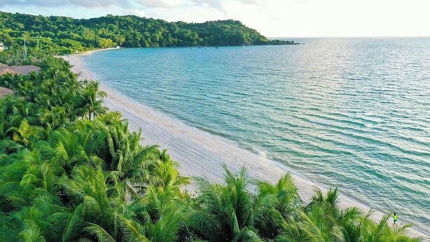 A beach with palm trees, a sandy shore, and a forested island in the background. - KHEM BEACH HOTEL (An Thoi)