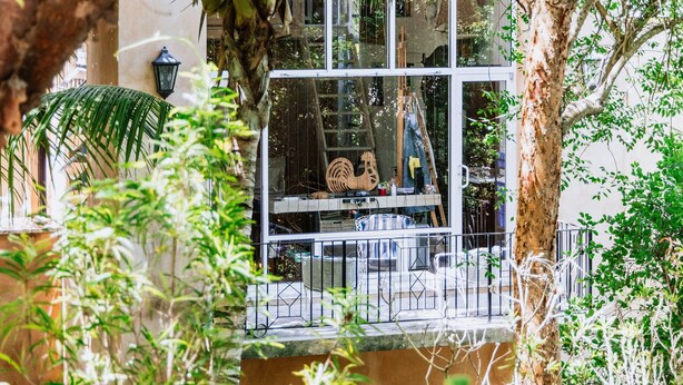 Un balcon fermé par des parois de verre, offrant une vue sur un palmier et un immeuble.