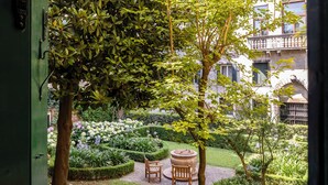 A courtyard with a bench, a tree, and a well-maintained garden. - CA MANDORLA (Venezia)
