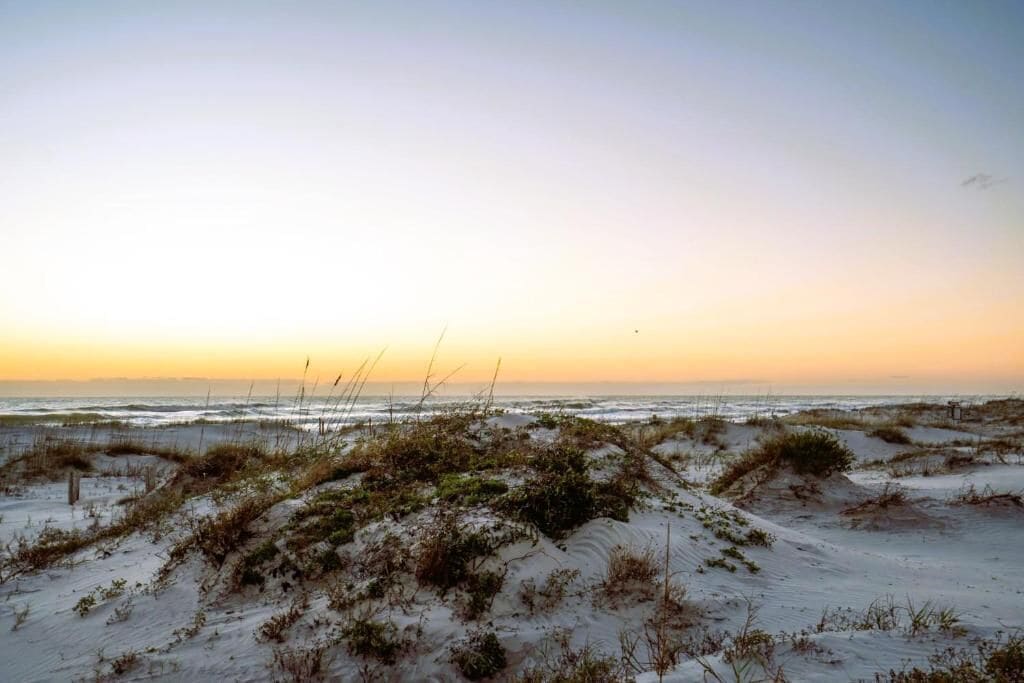 A beach with sand dunes and sparse vegetation.