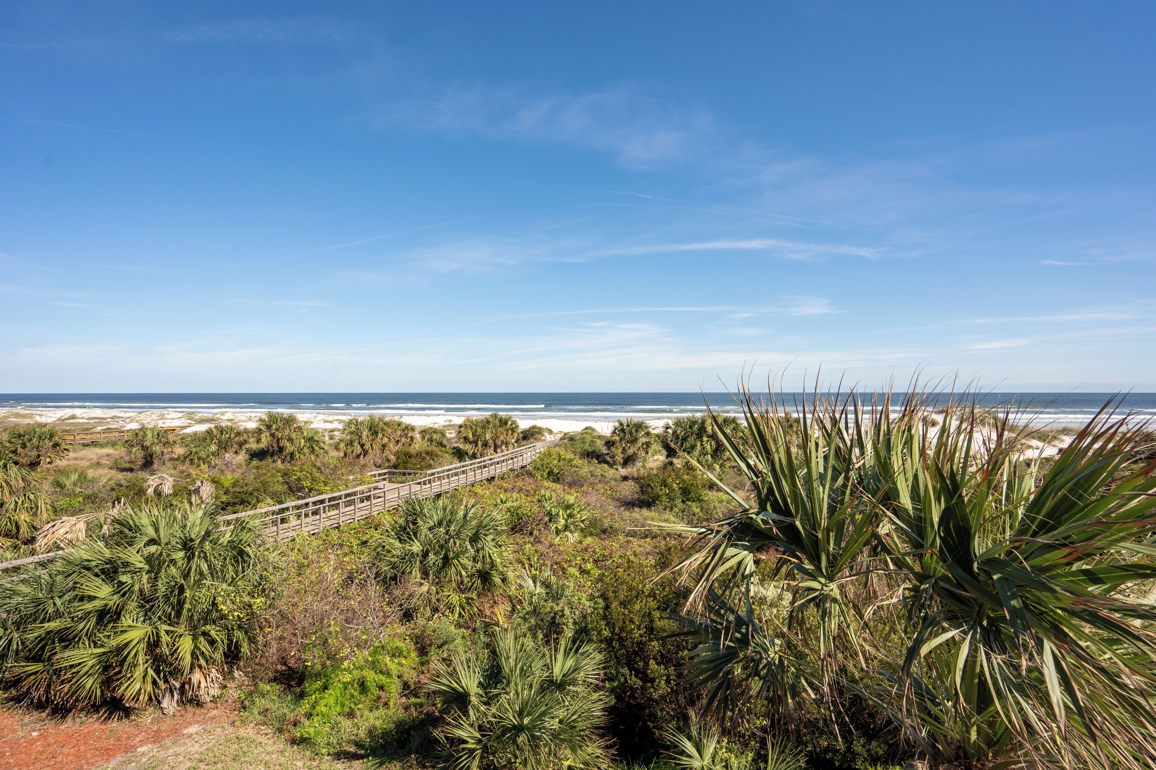 A coastal landscape with a wooden walkway, dense vegetation, and a view of the ocean.