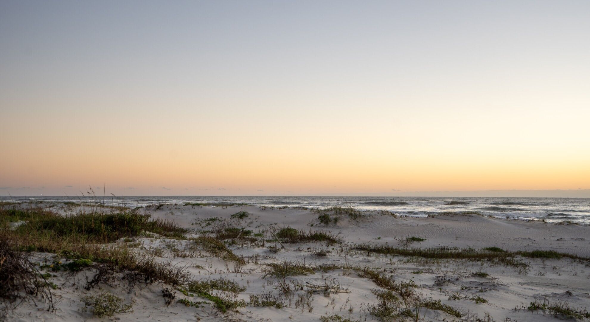 Uma praia com dunas de areia e vegetação rala.