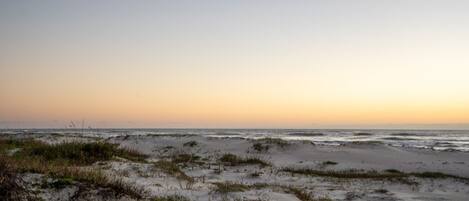 Uma praia com dunas de areia e vegetação rala.