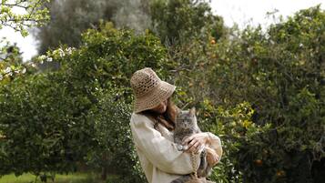 Terrein van de accommodatie