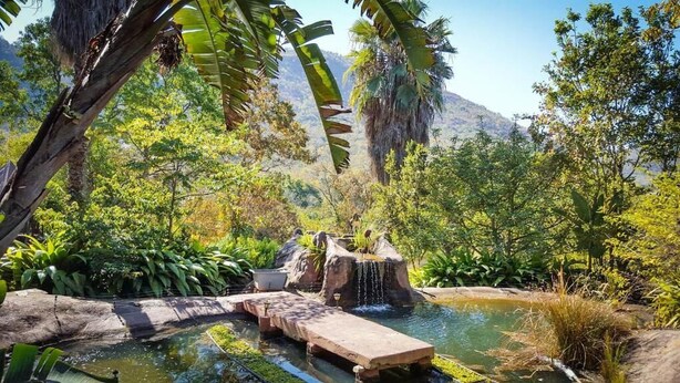 A natural pool with a wooden bridge, surrounded by lush greenery and a mountainous backdrop. - Free Standing House in the Middle of Nature (Mbombela)
