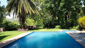 A rectangular swimming pool with a stone border, surrounded by lush greenery and a palm tree. - Free Standing House in the Middle of Nature (Mbombela)