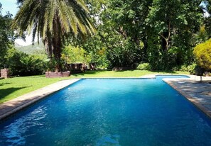 Una piscina rectangular con borde de piedra, rodeada de abundante vegetación y una palmera.