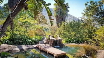 House, 3 Bedrooms, Accessible, Smoking | Property grounds