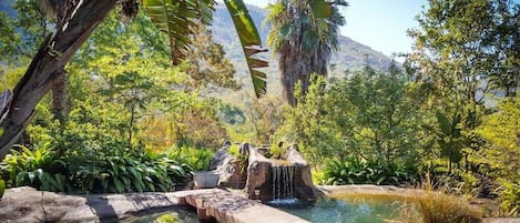 ハウス 3 ベッドルーム バリアフリー 喫煙可 | 施設の敷地