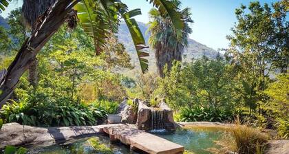 Free Standing House in the Middle of Nature