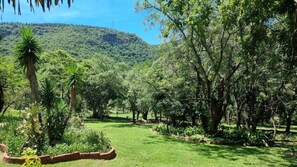 House, 3 Bedrooms, Accessible, Smoking | Property grounds