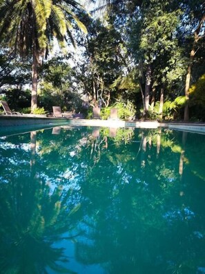 Pool - Free Standing House in the Middle of Nature (Mbombela)