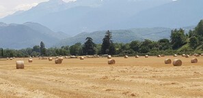 Miscellaneous - Family home, a haven of peace at the foot of the Vercors mountains (Vif)