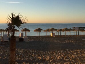 Ein Strand mit reetgedeckten Sonnenschirmen, einer Palme und Liegestühlen.