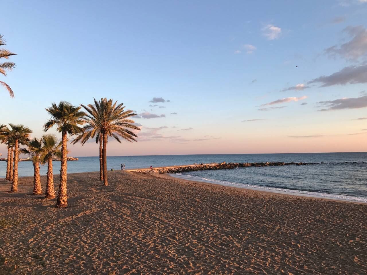 Une plage bordée de palmiers et protégée par une digue rocheuse.