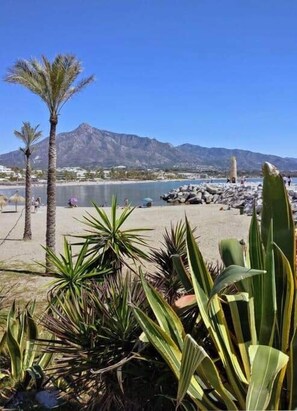 Unclassified image, 3 of 15, button - 0. Skol Marbella 829A (Marbella)