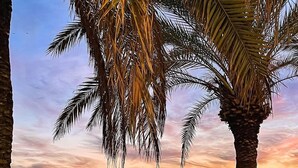 Beach - Farola 813 - Top Floor Just Refurbished Loft (Marbella)
