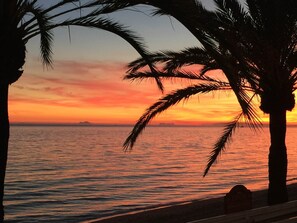 IMG 3577 - Skol Marbella 238C BeachFront Central With Pool & WiFi (Marbella)