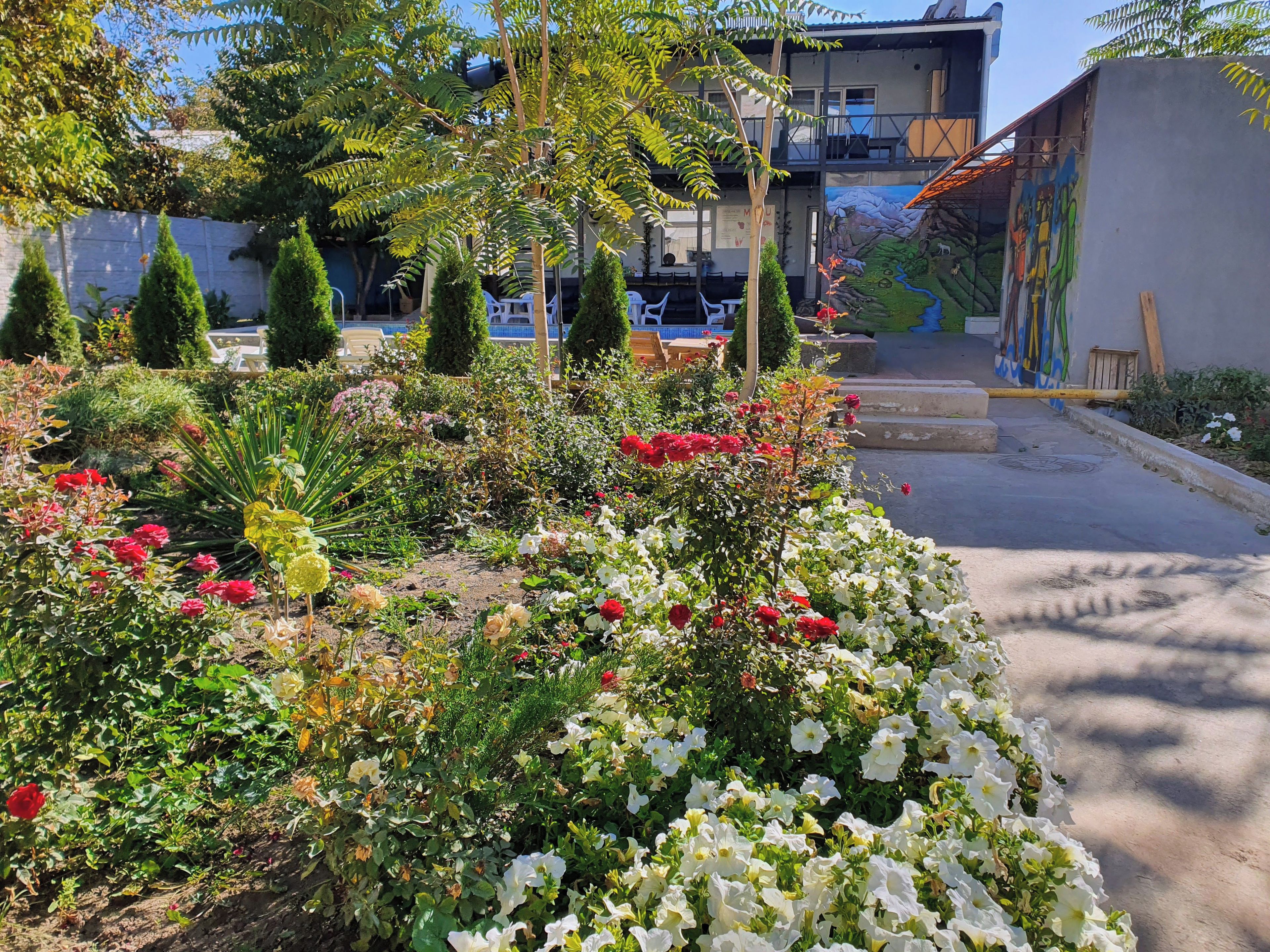 Un jardin avec différentes plantes et fleurs, un bâtiment doté d’une terrasse, et une fresque murale.