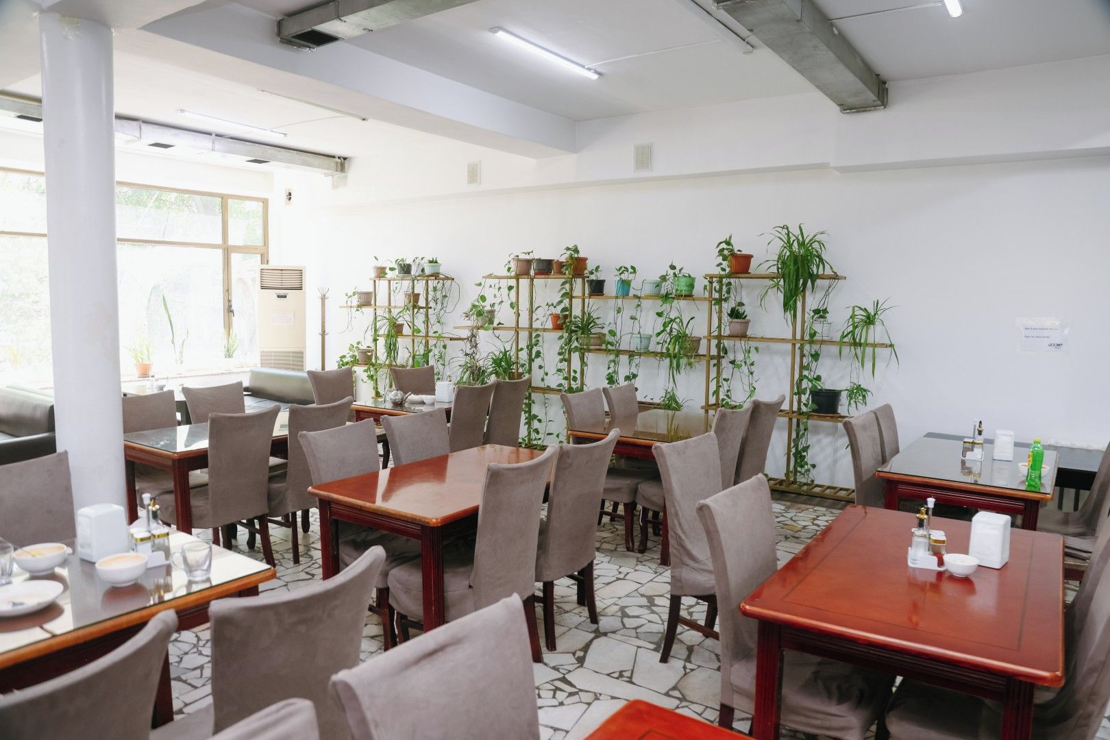 Un espace repas avec des tables et des chaises, une étagère pour les plantes et une fenêtre.