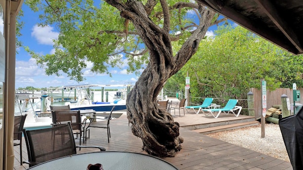 A covered outdoor area with a table, chairs, and a large tree. - Barracuda Bay Two Bedroom Condo (Stock Island)